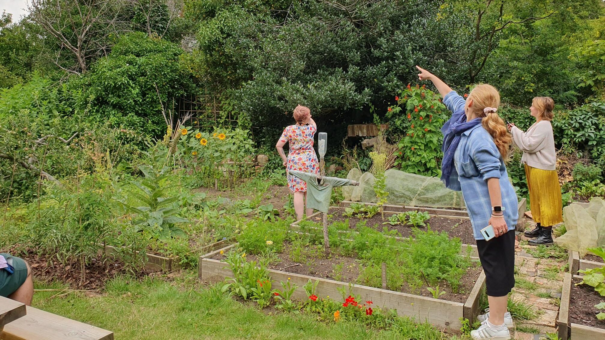 Staff undertaking a butterfly count in June 2023
