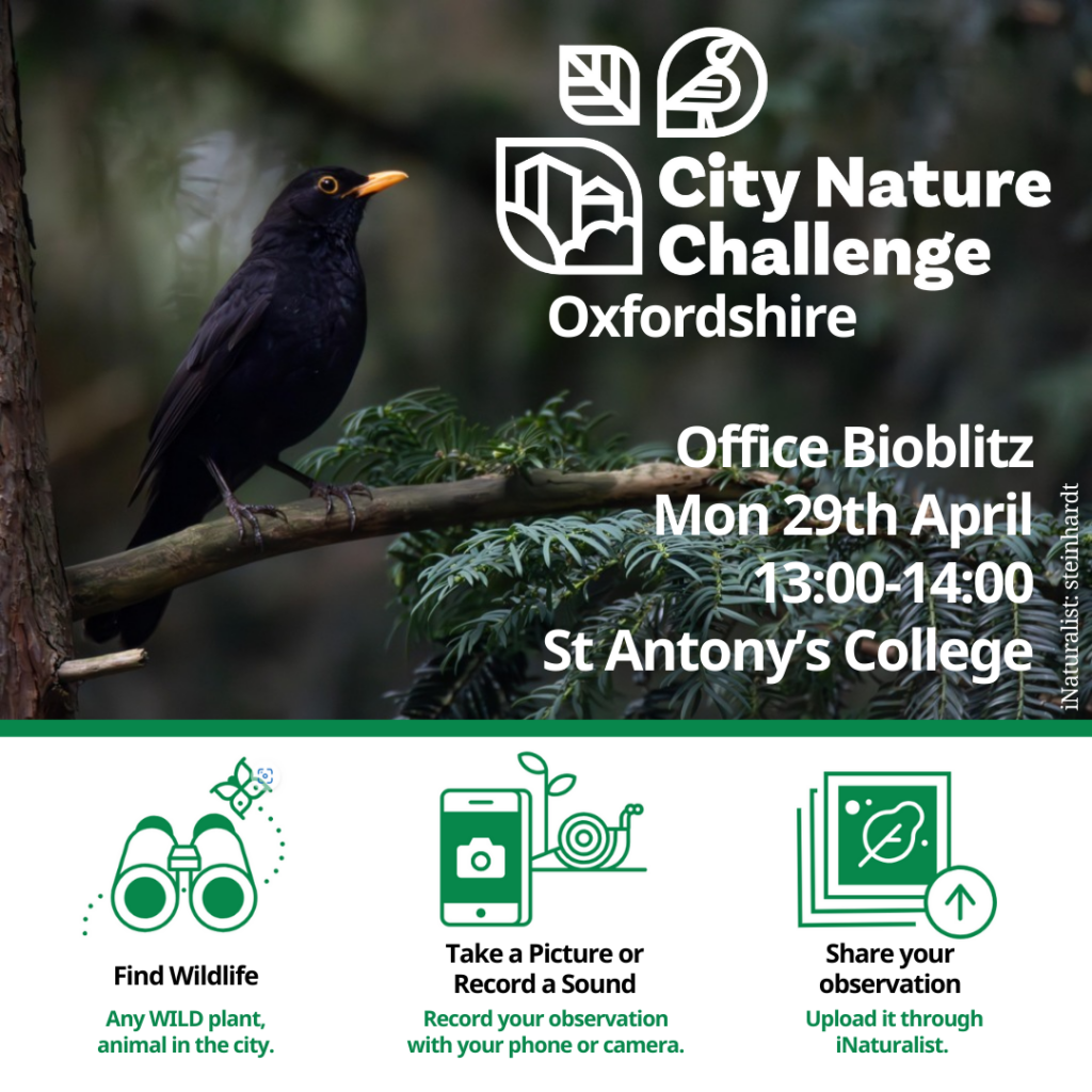 Office bioblitz flyer monday 29th april 13:00-14:00 St Antony's College